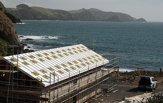 Building the Kiwi Dream